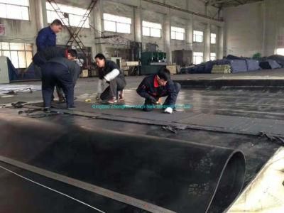 Flat Rubber Belt Conveyor Used in Rice Husk Pellet Line