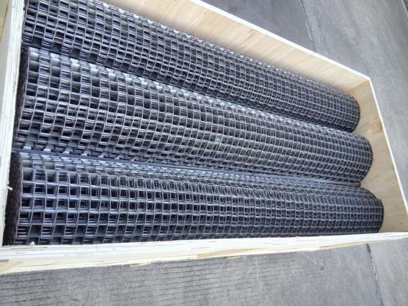 Stainless Steel Flat Wire Conveyor Belt Used in Southeast Asia