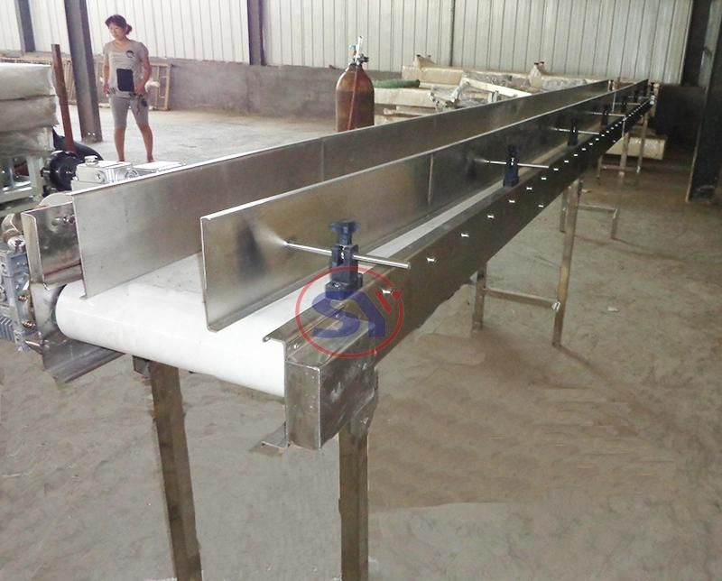 Heavy Load Capacity Straight Movable Belt Conveyor with Frequency Inverter