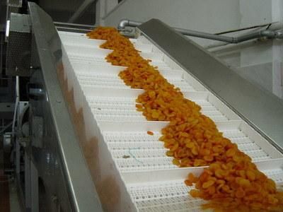 Chinese Manufacturers Turning and Straight Plastic Modular Belt Conveyor System