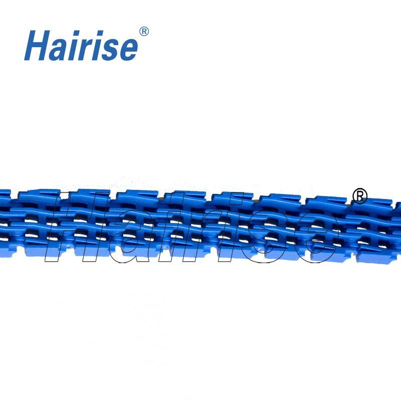 Hairise 900 Series Packing Machine Plastic Separate Conveyor Chain-a