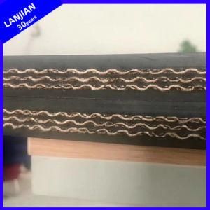 Factory Price Multi Layers Nylon Fabric Core Conveyor Belt