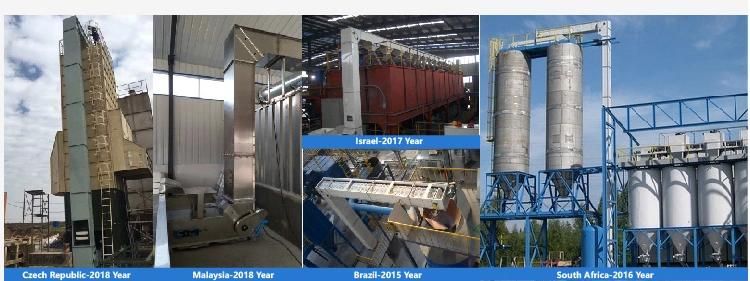 Chain Bucket Elevator for Solid Food Packing Line