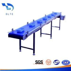 Bespoke Stainless Steel Flat Belt Conveyors for Food