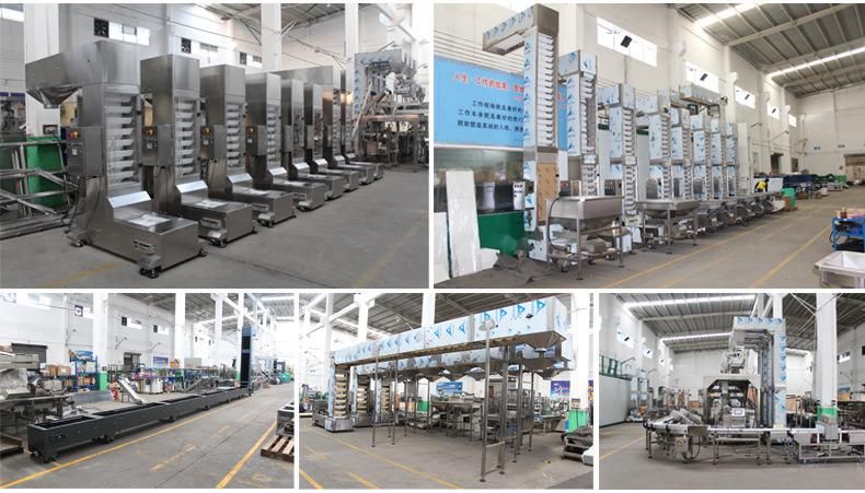 Grain Rice Z Bucket Conveyor Elevator Machine Price