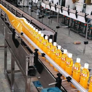 Automatic Production Line Chain Conveyor for Package Beverage Drinking