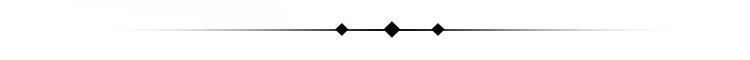 Conveyor Chain with Special Attachment