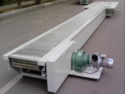 Stainless Steel Nylon Belt Conveyor