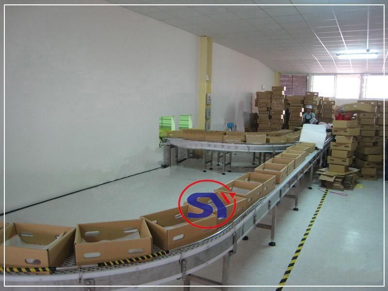 Double Layers Roller Conveyor Manufacturer for Home Appliances Assembly