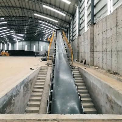 Grain and Sugar Loading Belt Conveyor for 40 Feet Container