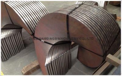 Carbon Steel Sectional Flight for Screw Conveyor Parts