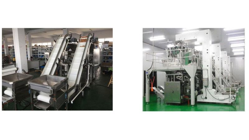 Waterproof Fruits Frozen Food Transport Automatic Inclined Transport Conveyor