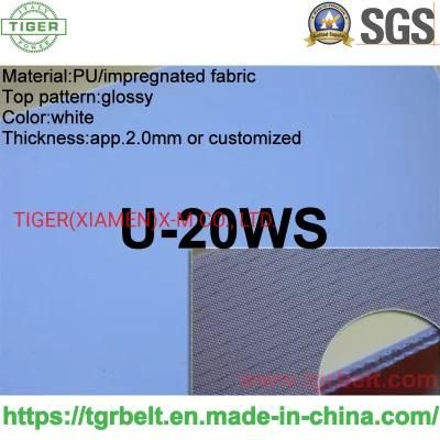 China Supplier Tiger 2.0 White Smooth Good Released Confectionery Cooling Tunnel Infeed Conveyor Belt