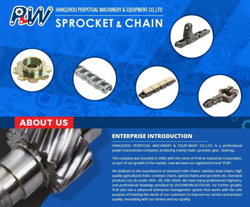 Free Sample Standard Hollow Pin Roller Chain