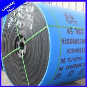 Ep Heat Resistant Belt (300-600&Ordm; C) for Metallurgy/Steel Plant/Energy/Chemical Industry