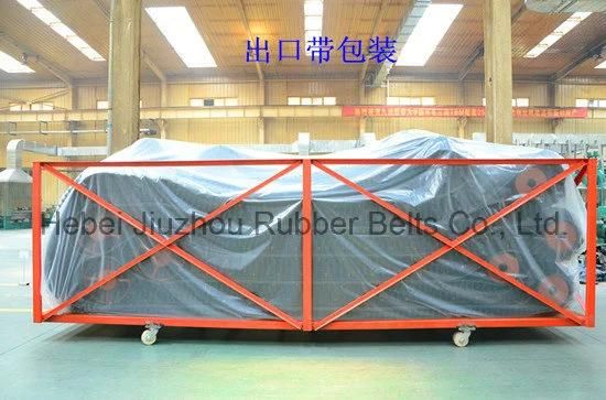 Xe+2 Sidewall Corrugated Conveyor Belt