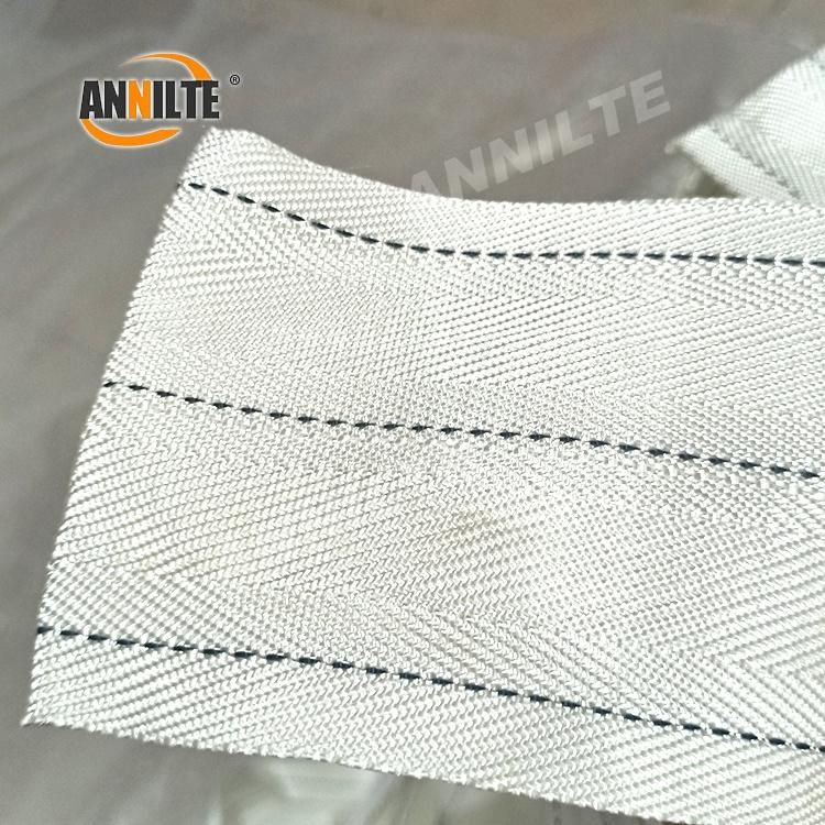 Annilte Good Quality Chicken Egg Belts for Automatic Egg Collection System