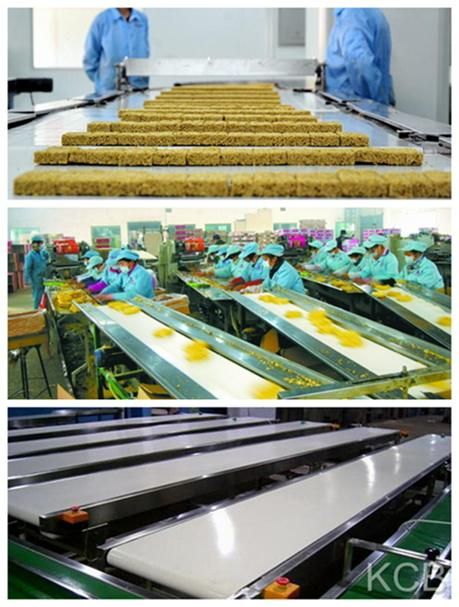 (EM100/1: 0+0.3/0.8WPU/AS) PU Conveyor Belt