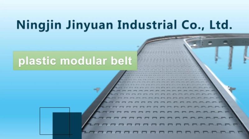 Modular Plastic Conveyor Belt with Roller by 400 Lateral Pulley Type