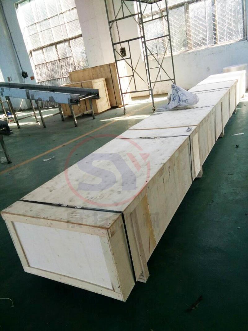 Carbon Steel/Stainless Steel Chain Flight Conveyor for Manufacturing Industry