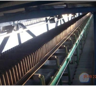 China Low Cost High Quality Sidewall Conveyor Belt for Power