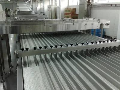 Manufacturer Supply Stainless Steel Conveying Belt/Belt Conveyor