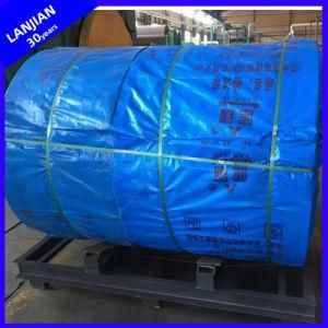 Customized Cold Resistant/Frozen Nn/Ep/Cc Rubber Conveyor Belt