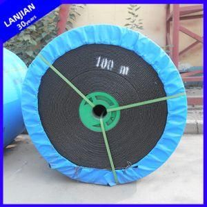 PVC1000s / 800 * 9 All Plastic Whole Core Flame Retardant Conveyor Belt in Coal Mine