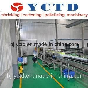 Industrial Plate Conveyor Chain (YCTD)