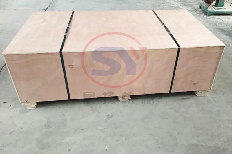 Stainless Steel/Carbon Steel/ABS Skate Wheel Stretched Conveyor