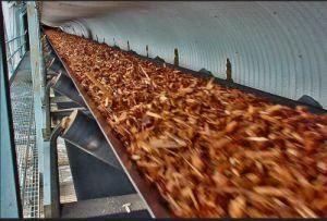 Moderate Oil Resistant Conveyor Belts for Wood Chips or Whole Grains