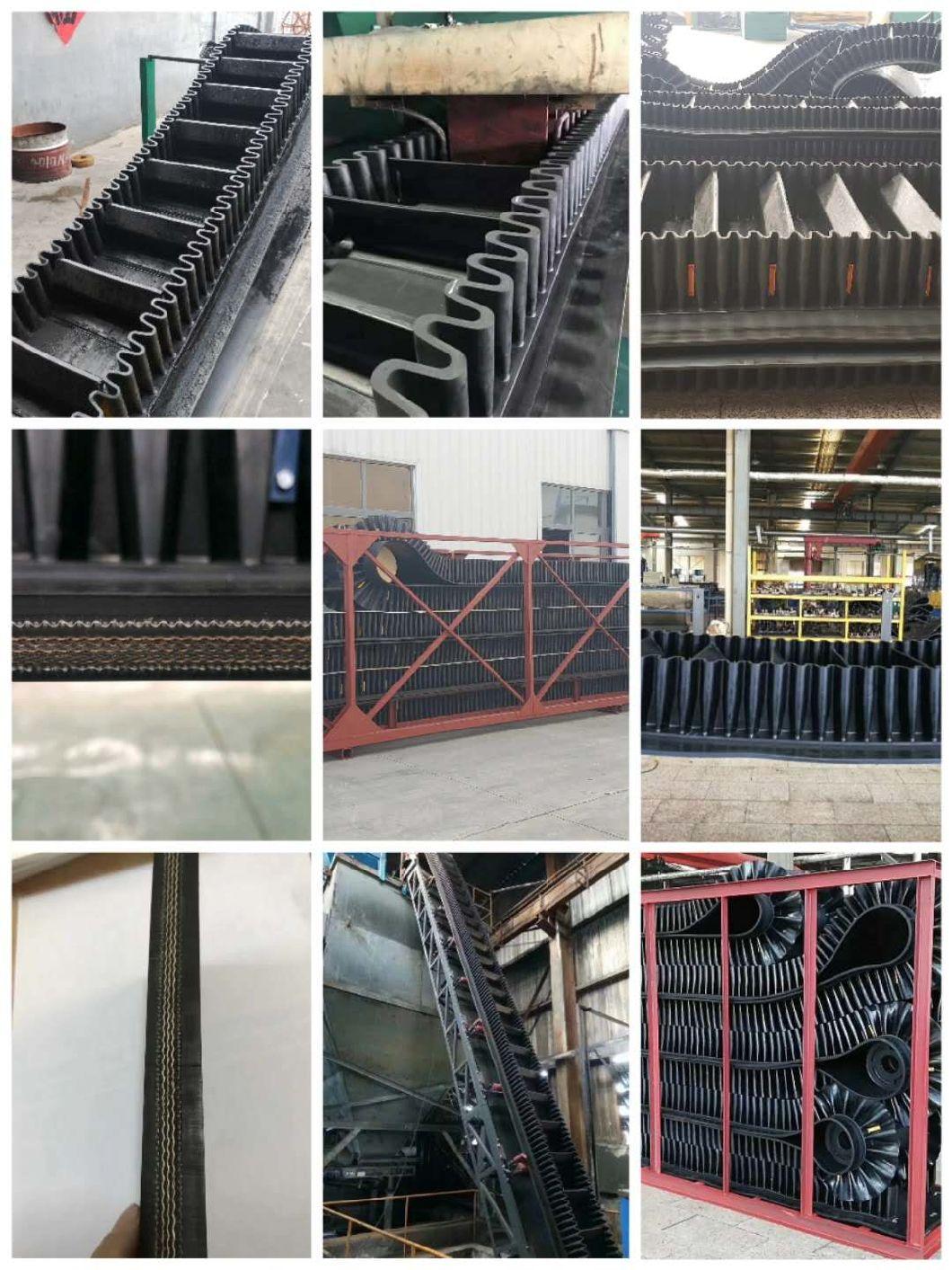 Durable Industrial Inkjet Printer Rubber Sidewall Belt Loading Conveyor