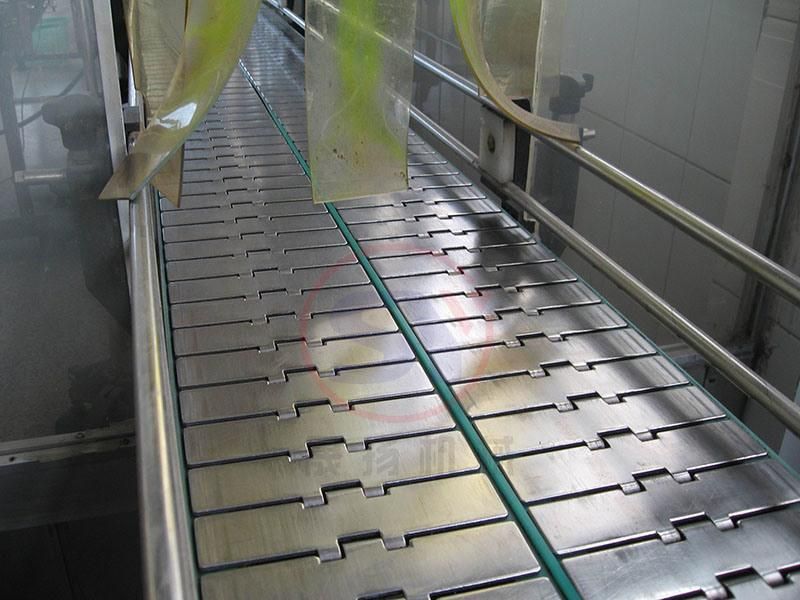 Cheap Steel/Plastic Belt Chain Plate Conveyor for Food Packing Sorting Inspection