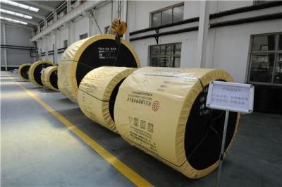 Cc100*2ply Nylon Conveyor Belt