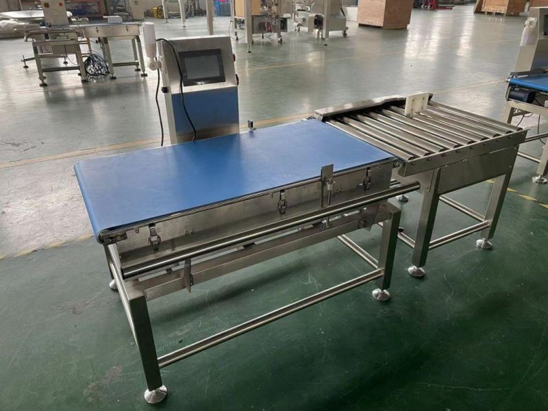 Carton Belt Conveyor 500mm 600mm Width Weight Checker