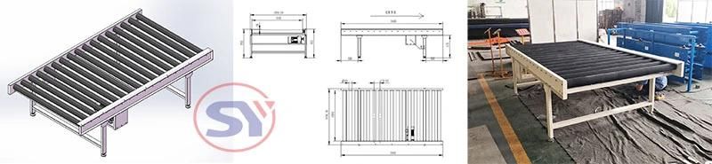 Industrial Chain Driving Roller Pan Conveyor with Factory Price for Sale