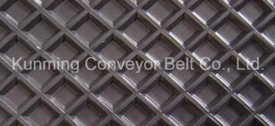 Conveyor Belt for Wood Processing