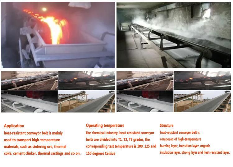 Top Quality Conveyor Belt for Sale