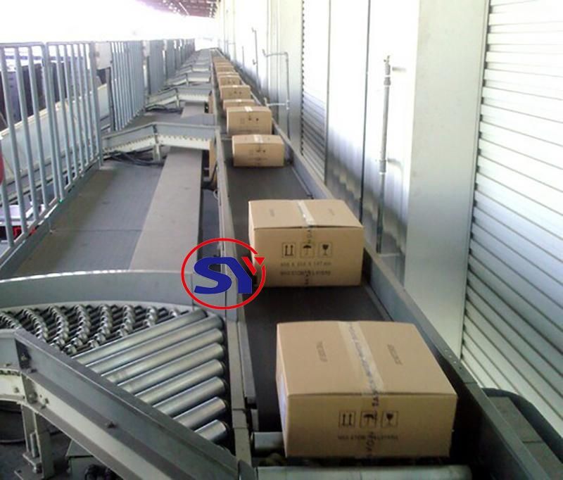 Customized PVC Nylon Belt Conveyor System Manufacturer for Refreshment