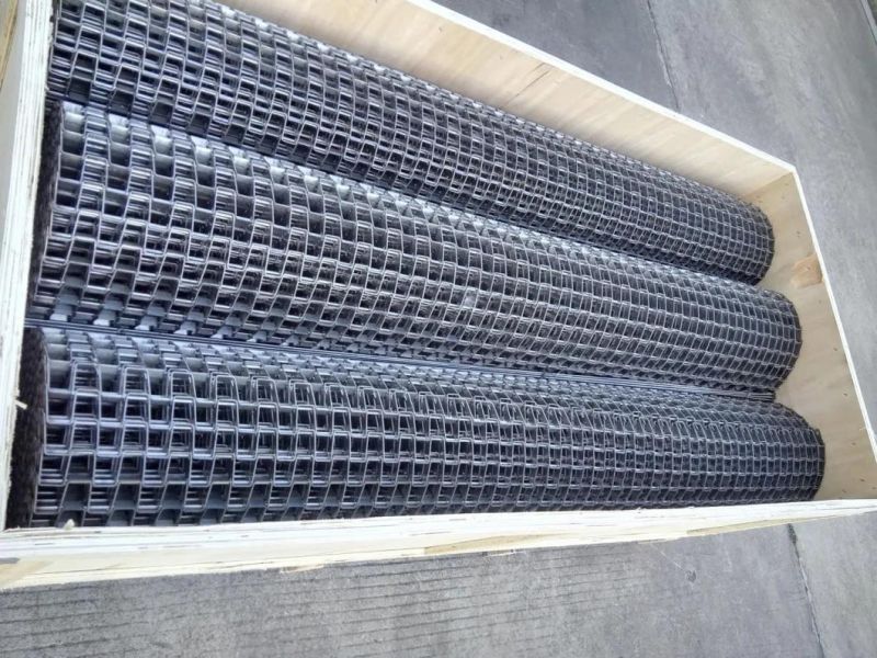 China Supply Flat Wire Belt for Food Processing Used in East Asia