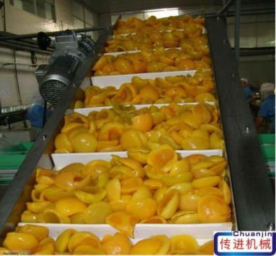 CE Electric Motor Incline PU Belt Conveyor for Fresh Fruit