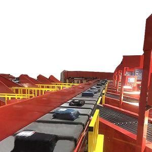 Roller Conveyor Belt Shapes and Properties of Goods for Parcel Sorting