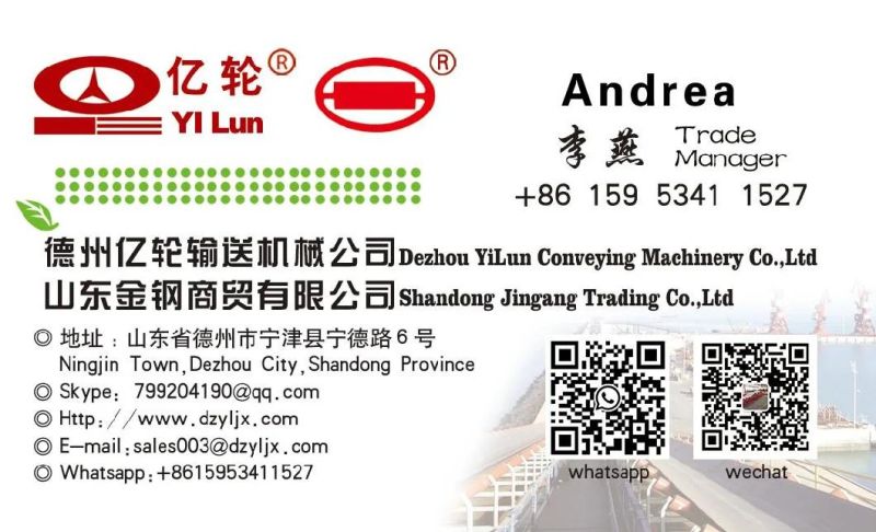 Yilun Flexible Rotation and Low Runout Roller for Conveyor System