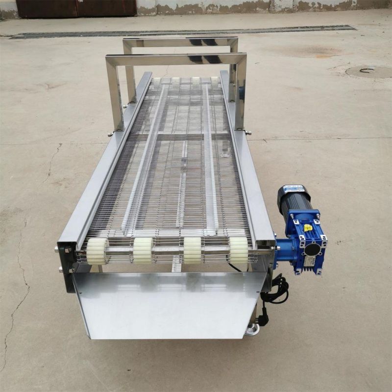 Customized Size Stainless Steel Wire Mesh Belt Conveyor Washing Vegetables