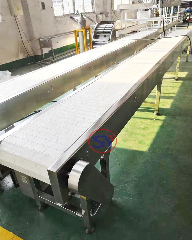 Modular Plastic Salt Chain Conveyor with Adjust Guardrail