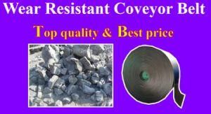 High Quality Wear Resistant Rubber Conveyor Belt for Plants Factory Mill