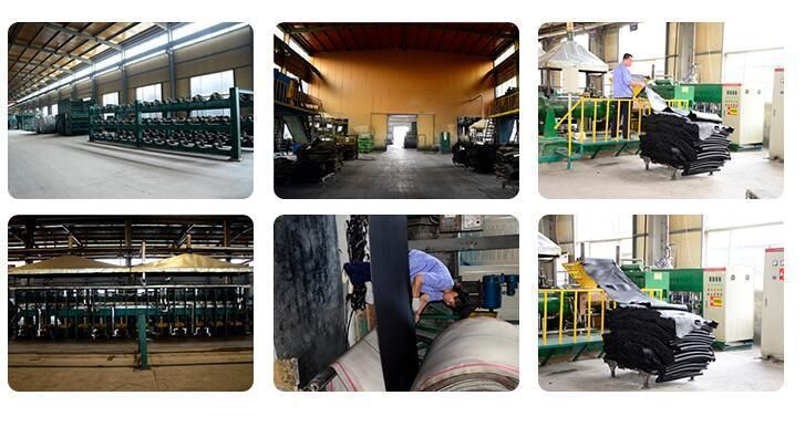 Steel Cord/ Ep/Nylon/Rubber Conveyor Belt for Belt Conveyor