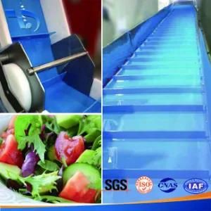 Flat Belt Stainless Steel Conveyor for Vegetable with Variable Speed