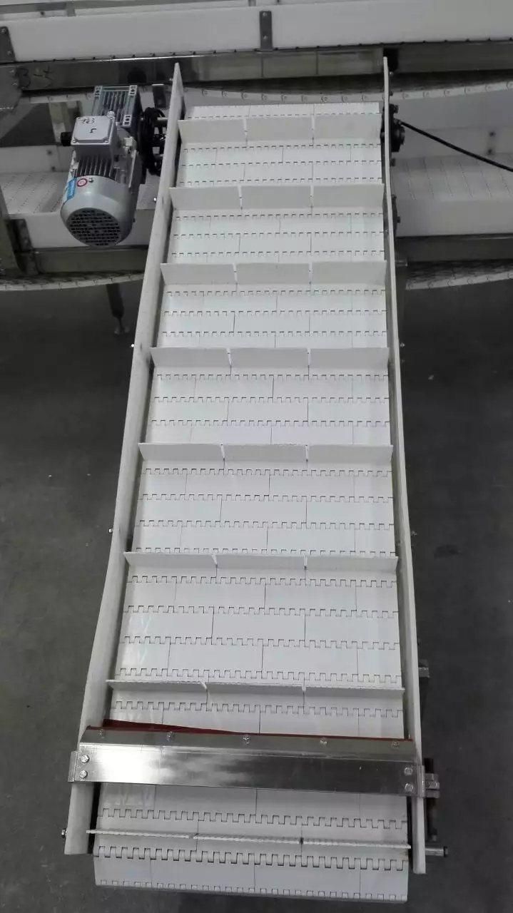 Hot Selling Plastic Mesh Belt Lifting Conveyor Food Transportation