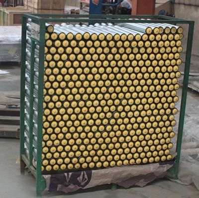 Gravity Roller with Plastic End Cap for Roller Conveyor